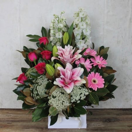Sweet Rose Lily