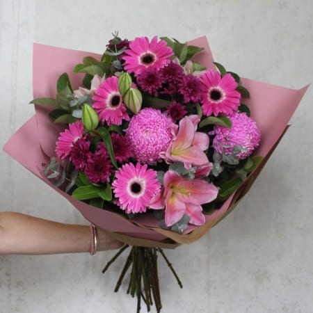 Striking Pinks