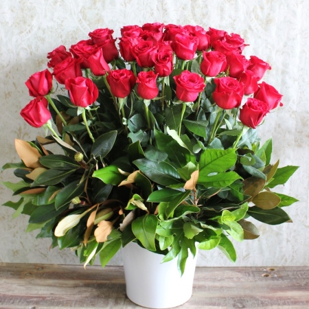 Stunning Roses