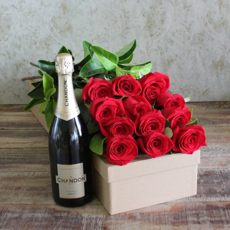 Champagne and Roses