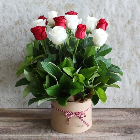 Charming Roses