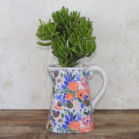 Jug of Jade