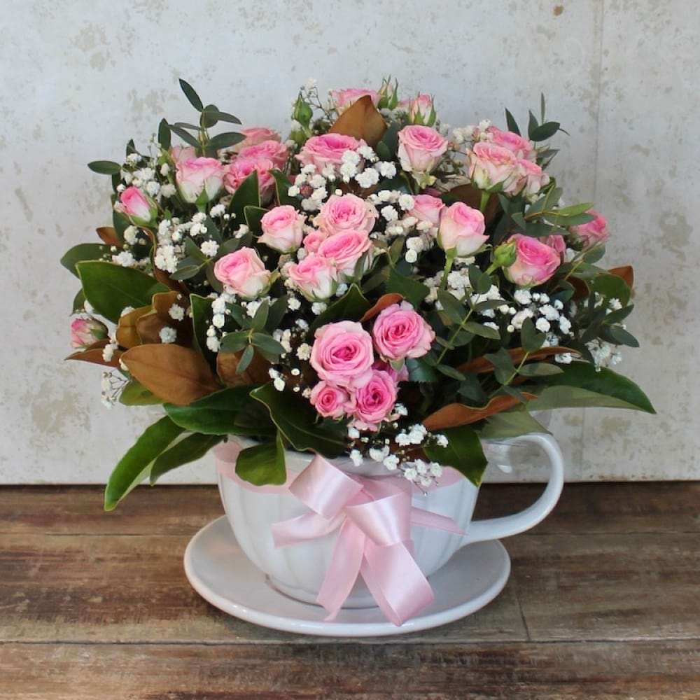 Tea Cup Rose 
