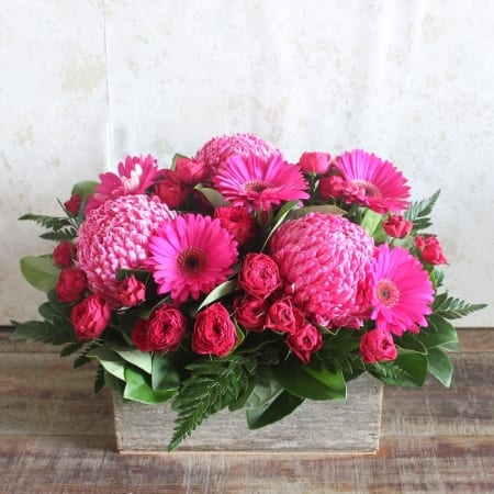 Vibrant Pinks