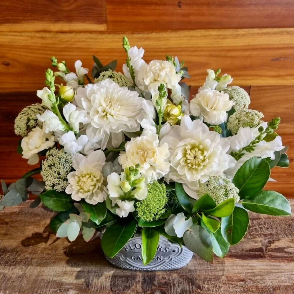 White Delight