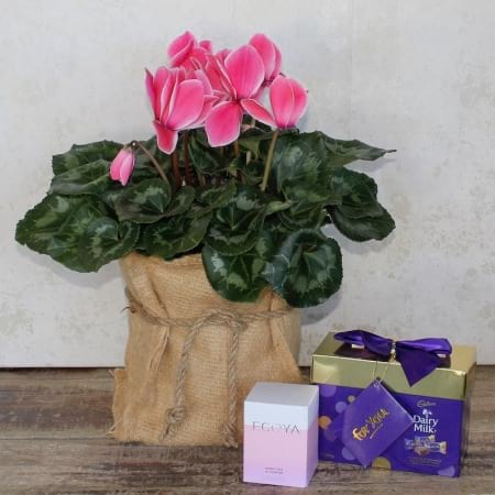 Blooms and Treats