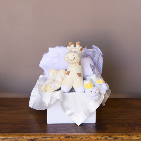 New Baby's First Gift