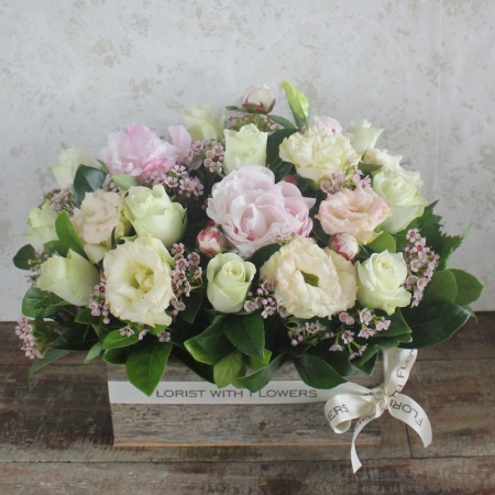 The Cottage Garden 