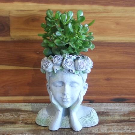 Quirky Succulent Pot