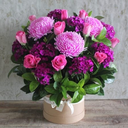 Hot Pink Blush