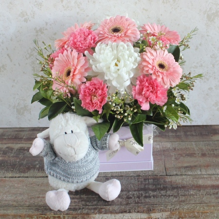 New Baby Girl Box Arrangement with Soft Toy