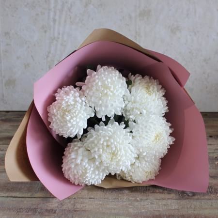 Mum`s Chrysanthemum`s