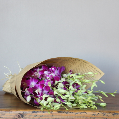 Orchid Cluster 