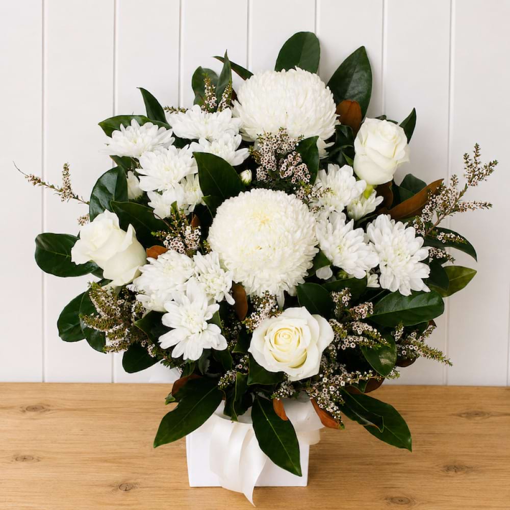 White Sympathy Blooms
