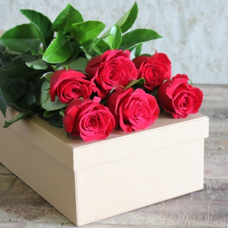 Smitten By Roses