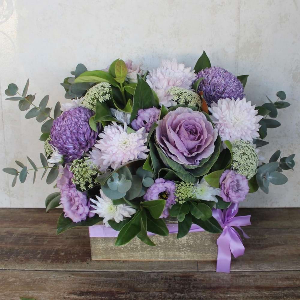 Mum`s Classic Mauve`s